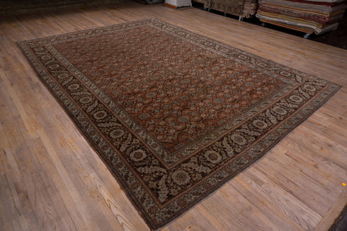 Vintage Tabriz Area Rug (10' x 14')